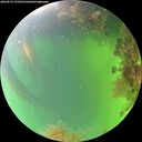 ./images/calvert/underwater/20260819/underwater20260819_175501M.jpg