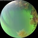 ./images/calvert/underwater/20260819/underwater20260819_182501M.jpg