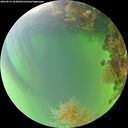 ./images/calvert/underwater/20260819/underwater20260819_183001M.jpg