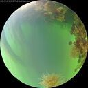 ./images/calvert/underwater/20260819/underwater20260819_183501M.jpg