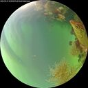 ./images/calvert/underwater/20260819/underwater20260819_185002M.jpg