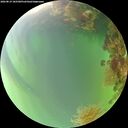 ./images/calvert/underwater/20260819/underwater20260819_185501M.jpg