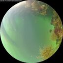 ./images/calvert/underwater/20260819/underwater20260819_190002M.jpg