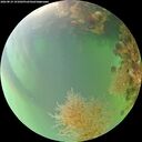 ./images/calvert/underwater/20260819/underwater20260819_191002M.jpg