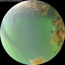 ./images/calvert/underwater/20260819/underwater20260819_191501M.jpg