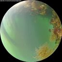 ./images/calvert/underwater/20260819/underwater20260819_192501M.jpg