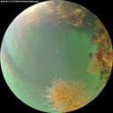 ./images/calvert/underwater/20260819/underwater20260819_193501M.jpg