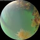 ./images/calvert/underwater/20260819/underwater20260819_194002M.jpg
