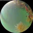 ./images/calvert/underwater/20260819/underwater20260819_195001M.jpg