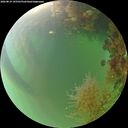 ./images/calvert/underwater/20260819/underwater20260819_195501M.jpg