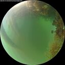 ./images/calvert/underwater/20260819/underwater20260819_201002M.jpg