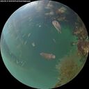 ./images/calvert/underwater/20260819/underwater20260819_204501M.jpg