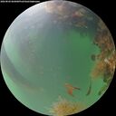 ./images/calvert/underwater/20260820/underwater20260820_064001M.jpg