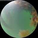 ./images/calvert/underwater/20260820/underwater20260820_064501M.jpg