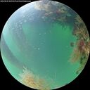 ./images/calvert/underwater/20260820/underwater20260820_065501M.jpg