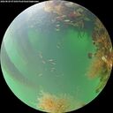 ./images/calvert/underwater/20260820/underwater20260820_071001M.jpg