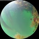./images/calvert/underwater/20260820/underwater20260820_071501M.jpg