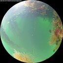 ./images/calvert/underwater/20260820/underwater20260820_073002M.jpg