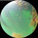 ./images/calvert/underwater/20260820/underwater20260820_074501M.jpg