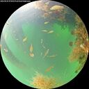 ./images/calvert/underwater/20260820/underwater20260820_075001M.jpg