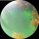 ./images/calvert/underwater/20260820/underwater20260820_075501M.jpg