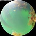 ./images/calvert/underwater/20260820/underwater20260820_080501M.jpg