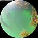 ./images/calvert/underwater/20260820/underwater20260820_083001M.jpg