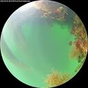 ./images/calvert/underwater/20260820/underwater20260820_083501M.jpg