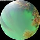 ./images/calvert/underwater/20260820/underwater20260820_084001M.jpg