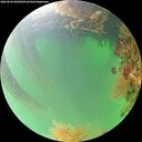 ./images/calvert/underwater/20260820/underwater20260820_085002M.jpg