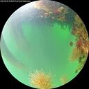 ./images/calvert/underwater/20260820/underwater20260820_094001M.jpg