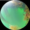 ./images/calvert/underwater/20260820/underwater20260820_094502M.jpg