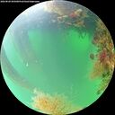 ./images/calvert/underwater/20260820/underwater20260820_095001M.jpg