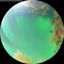 ./images/calvert/underwater/20260820/underwater20260820_095501M.jpg