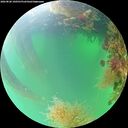 ./images/calvert/underwater/20260820/underwater20260820_100501M.jpg