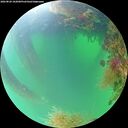 ./images/calvert/underwater/20260820/underwater20260820_102001M.jpg