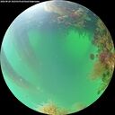 ./images/calvert/underwater/20260820/underwater20260820_102501M.jpg
