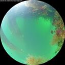 ./images/calvert/underwater/20260820/underwater20260820_103001M.jpg