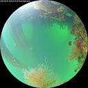 ./images/calvert/underwater/20260820/underwater20260820_104501M.jpg