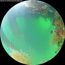 ./images/calvert/underwater/20260820/underwater20260820_105001M.jpg