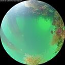 ./images/calvert/underwater/20260820/underwater20260820_110001M.jpg