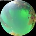 ./images/calvert/underwater/20260820/underwater20260820_110501M.jpg