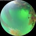 ./images/calvert/underwater/20260820/underwater20260820_111001M.jpg