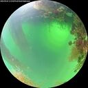 ./images/calvert/underwater/20260820/underwater20260820_111502M.jpg