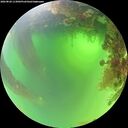 ./images/calvert/underwater/20260820/underwater20260820_113002M.jpg