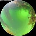 ./images/calvert/underwater/20260820/underwater20260820_113501M.jpg