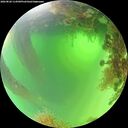 ./images/calvert/underwater/20260820/underwater20260820_114501M.jpg