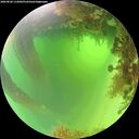 ./images/calvert/underwater/20260820/underwater20260820_115002M.jpg