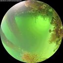 ./images/calvert/underwater/20260820/underwater20260820_115501M.jpg