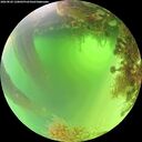 ./images/calvert/underwater/20260820/underwater20260820_120001M.jpg